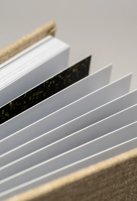 Linnen fotoalbum — beeld 3
